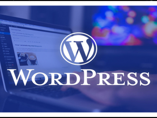Wordpress là gì? Tìm hiểu thêm về thiết kế website bằng wordpress